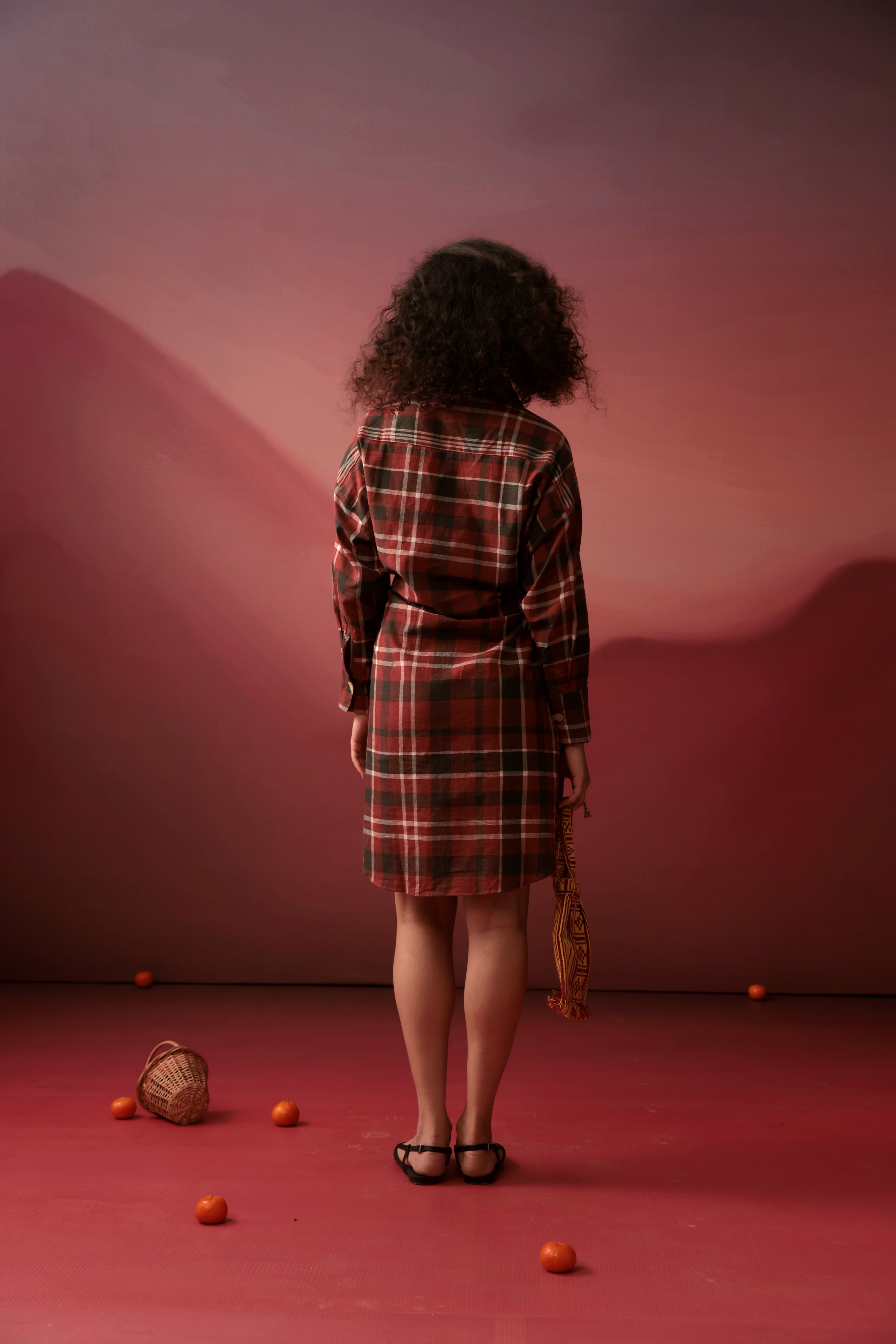 Autumn Plaid Shirt Dress